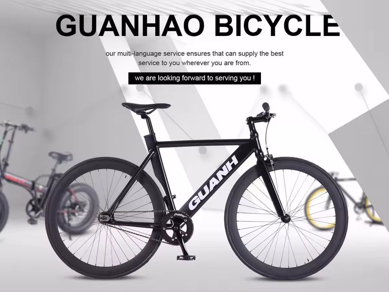 Elektrische Fietsen