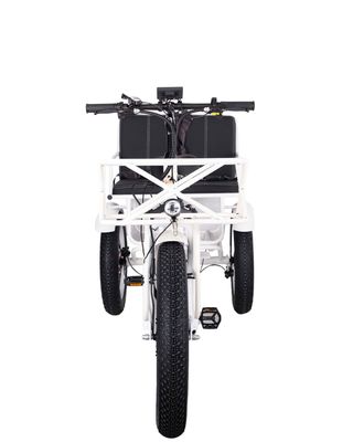 750W voorwielen elektrische riksja trike met 21AH lithiumbatterij en 7 versnellingsbakken