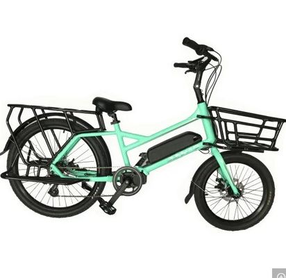 Familie of vracht elektrische fiets met dubbele dichtheid grepen en aluminium vork van Ananda Bafang