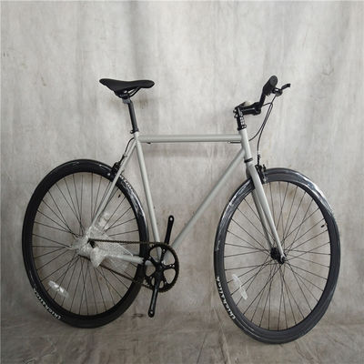 60cm staal frame Fixie Fixed Gear Bike Promax Double V Brake 700c Single Speed Track