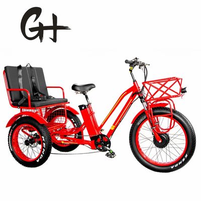 Front Hub Motor 750W 21AH Lithium elektrische driewieler voor 2 personen 24&quot; sneeuwband 40KM/H