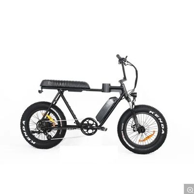 Magnesium frame 2020 20 inch dikke band elektrische fiets sneeuw strand cruiser EL-DN2011Z