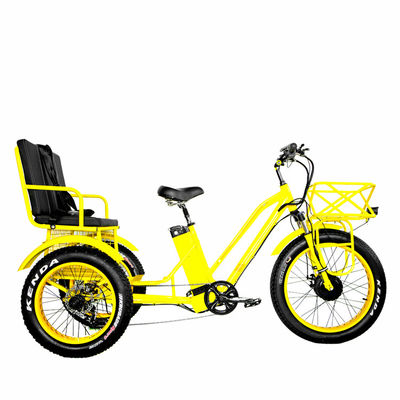 24&quot; elektrische Etrike driewieler met 750W motor en 21AH Lithiumbatterie 40KM/H Max Speed