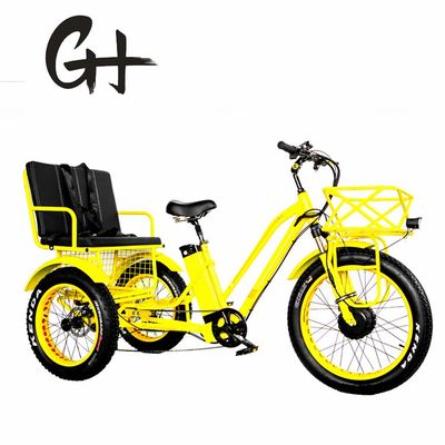 24&quot; elektrische Etrike driewieler met 750W motor en 21AH Lithiumbatterie 40KM/H Max Speed