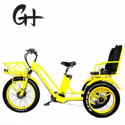 24&quot; elektrische Etrike driewieler met 750W motor en 21AH Lithiumbatterie 40KM/H Max Speed