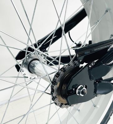 Bruto gewicht 25,0 KG 24-20&quot; Single Speed Adult Chopper Bike met Steel Fork van OEM