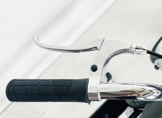 Bruto gewicht 25,0 KG 24-20&quot; Single Speed Adult Chopper Bike met Steel Fork van OEM