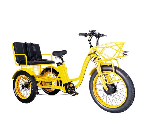 Elektrische rickshaw 750W Front BaFang Motor 21AH Lithiumbatterij 60KM USA Volwassen 24&quot; Fat Snow Big band Passagiersstoel