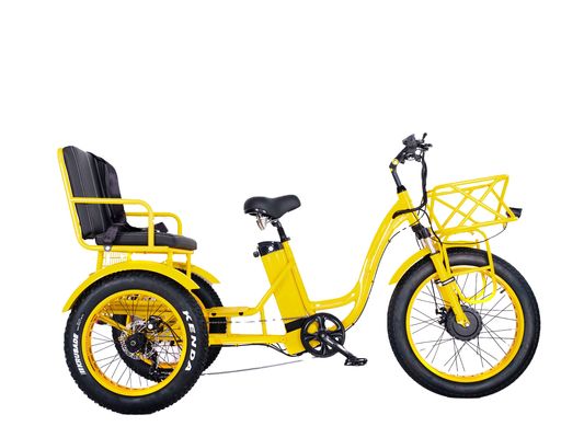 Elektrische rickshaw 750W Front BaFang Motor 21AH Lithiumbatterij 60KM USA Volwassen 24&quot; Fat Snow Big band Passagiersstoel