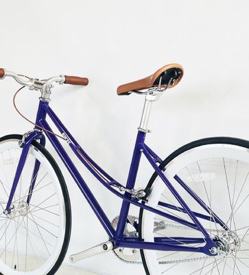 700C Lady Women Gril CE USA Op maat gemaakte Single Speed Step Through City Bike met vaste versnelling