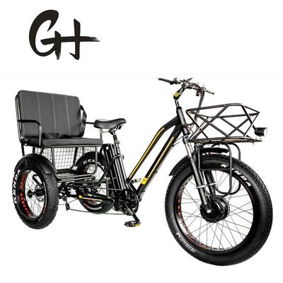 24&quot; 48V voorwiel 750W 45KM/H Max Loading 300KG 21AH Lithiumbatterie Elektrische driewielers