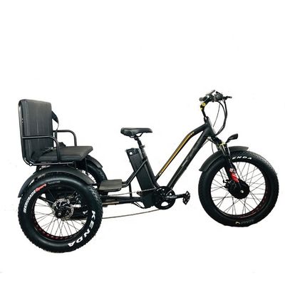 24&quot; 48V voorwiel 750W 45KM/H Max Loading 300KG 21AH Lithiumbatterie Elektrische driewielers