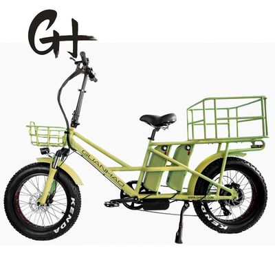 48V schijfrem Dual batterijen Fat Snow Big Tire Elektrische vrachtfietsen voor gezin 2