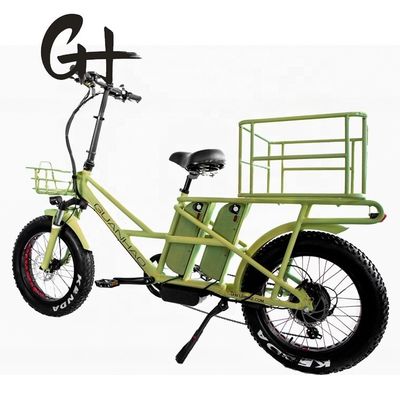 48V schijfrem Dual batterijen Fat Snow Big Tire Elektrische vrachtfietsen voor gezin 2