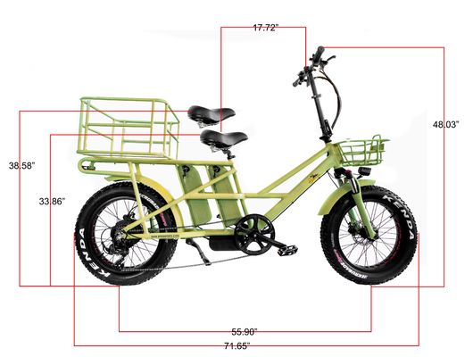 48V schijfrem Dual batterijen Fat Snow Big Tire Elektrische vrachtfietsen voor gezin 2