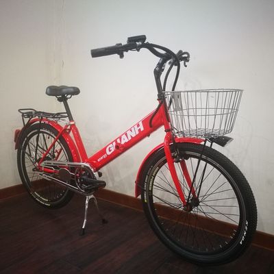 36V 9Ah 250W koppel 80-90 Nm 25KM/H Hi-Ten Steel Electric Cargo Bike voor voedsellevering
