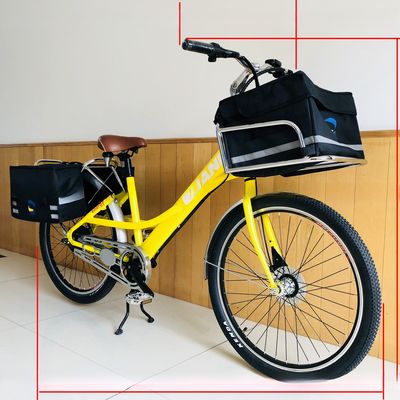 36V 9Ah 250W koppel 80-90 Nm 25KM/H Hi-Ten Steel Electric Cargo Bike voor voedsellevering
