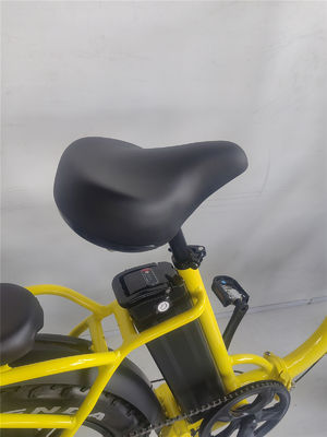 Kenda 20*4.0 band en Wellgo pedaal 48V 750W vouwbare elektrische fiets voor Beach Cruiser