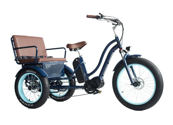 Elektrische riksja met 48V 750W 17AH Lithiumbatterie en Big Fat Tire