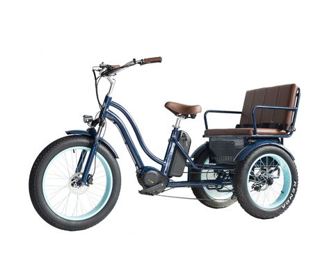 Elektrische riksja met 48V 750W 17AH Lithiumbatterie en Big Fat Tire
