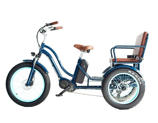 Elektrische riksja met 48V 750W 17AH Lithiumbatterie en Big Fat Tire
