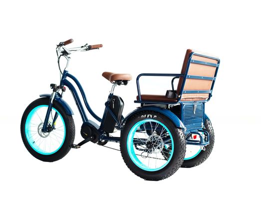 Elektrische riksja met 48V 750W 17AH Lithiumbatterie en Big Fat Tire