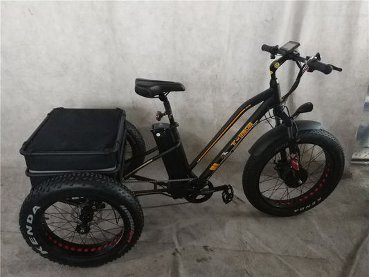 Elektrische vrachtfiets voor langeafstandsbezorging met dubbele lithiumbatterijen en schijfrem