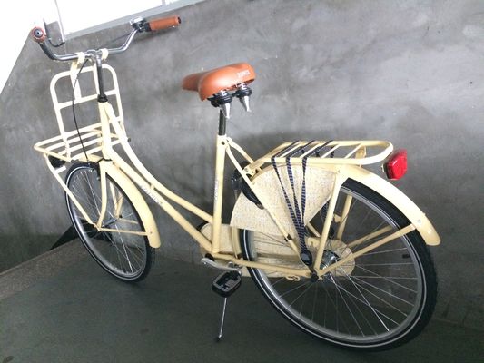 28 inch Old Man City Bike Classic Dutch Bike met Lugged Steel Frame en Double V Brake