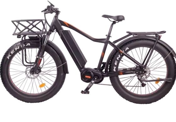 Krachtige 1000W 48V centrale middeldrive motor elektrische mountainbike voor volwassen mannen 29 inch