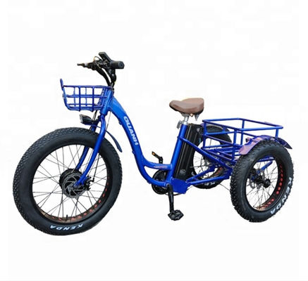 750W elektrische vracht driewieler met lithiumbatterie en bereik van 31-60 km