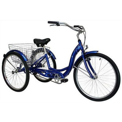 750W elektrische vracht driewieler met lithiumbatterie en bereik van 31-60 km