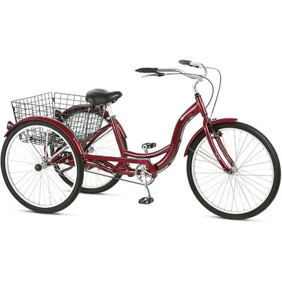 750W elektrische vracht driewieler met lithiumbatterie en bereik van 31-60 km