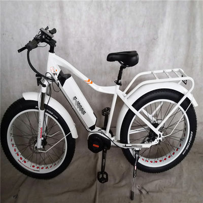 1000W Bafang Mid Drive Motor Alloy Achterdrager Centrale Elektrische Fiets met Standaarden