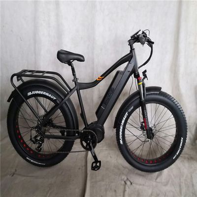 1000W Bafang Mid Drive Motor Alloy Achterdrager Centrale Elektrische Fiets met Standaarden