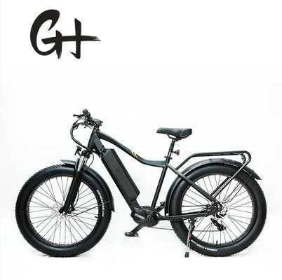 1000W Bafang Mid Drive Motor Alloy Achterdrager Centrale Elektrische Fiets met Standaarden