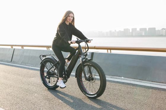 1000W Bafang Mid Drive Motor Alloy Achterdrager Centrale Elektrische Fiets met Standaarden