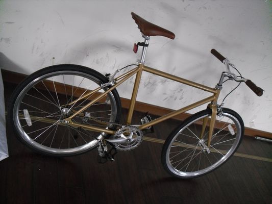 CE-gecertificeerd 20*2.1 Kenda band single speed Mini Fixie Bike voor kinderavontuur