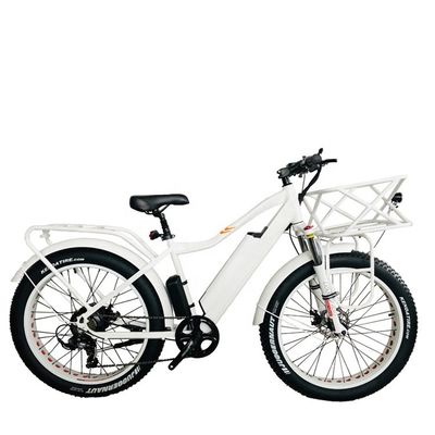 26&quot; 4.0 Big Snow Fat Tire Elektrische fiets met schijfrem en 1000W 48V 17AH achterste BaFang motor