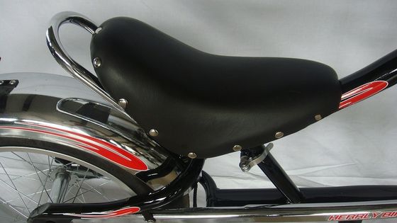 Chopper Bike Black Low Rider Fashion Bike met F Disc Brake R V-Bremstechnologie