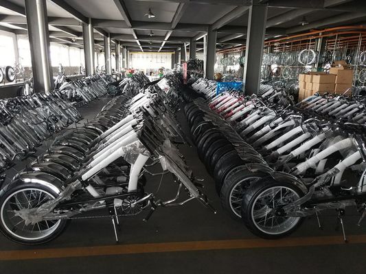 Heren 20-24 inch Chopper Bike met vork ophanging en aanpasbare opties