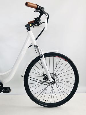 500W/48V/14Ah Achterste rek Lithiumbatterij Elektrische stadsfiets voor vrouwen Lady 35KM/H