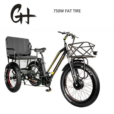 Bafang 750W motor elektrische driewieler met vetband E Drie wielen en passagiersstoel