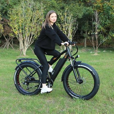 48V 1000W 17AH Lithiumbatterij OEM EN15194 CE Op maat gemaakte elektrische MTB Mountain Fat Tire Bike