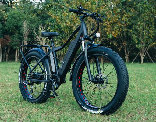 48V 1000W 17AH Lithiumbatterij OEM EN15194 CE Op maat gemaakte elektrische MTB Mountain Fat Tire Bike
