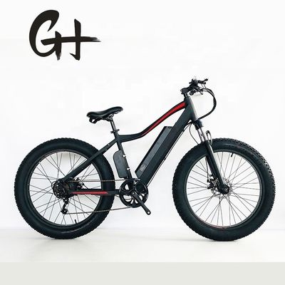 48V 500W Fast 40KM/H 14AH Lithiumbattery Mountain Electric Bike met Aluminium Alloy Frame