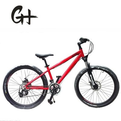 26x2,15 band CE EN CPSC OEM/ODM Volwassen Shimano 21 snelheden schijfreem MTB Mountain Bike