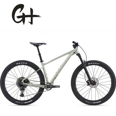 29 inch Mountainbike met SRAM 11 Speed Front Suspension Fork en Aluminium Alloy Frame OEM