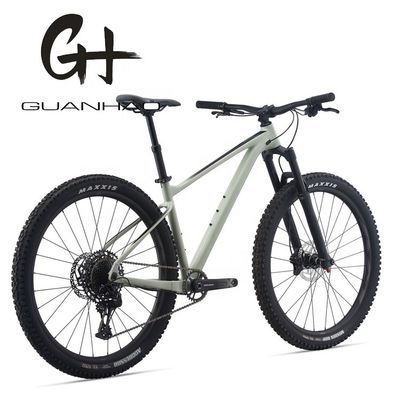 29 inch Mountainbike met SRAM 11 Speed Front Suspension Fork en Aluminium Alloy Frame OEM