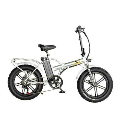 750W 1000W 48V dikke band 4,0" vouwbare zilveren frame 5 spaken elektrische vouwfiets 20 inch