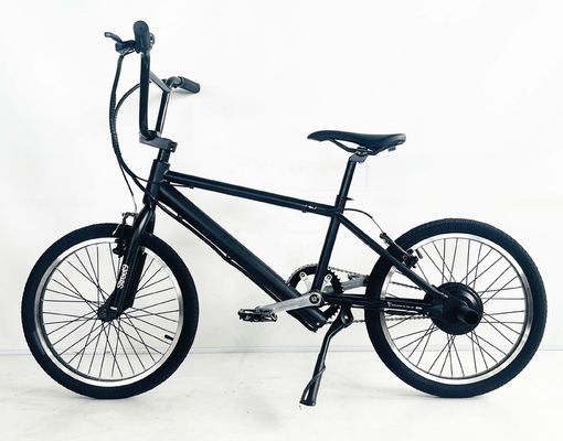 20" Single Speed Electric BMX Bike met verborgen batterij en 24V 250W motor 20KM/H PAS